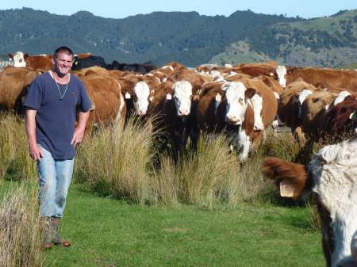 simmental breeders